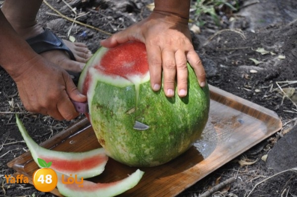 re7la shabab 0601 (85).JPG